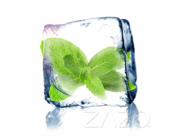 ZAZO Cool Mint E-Liquid