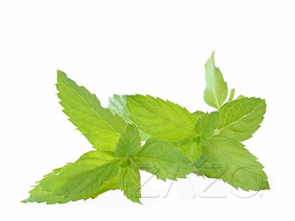 ZAZO-Peppermint-E-Liquid-10ml