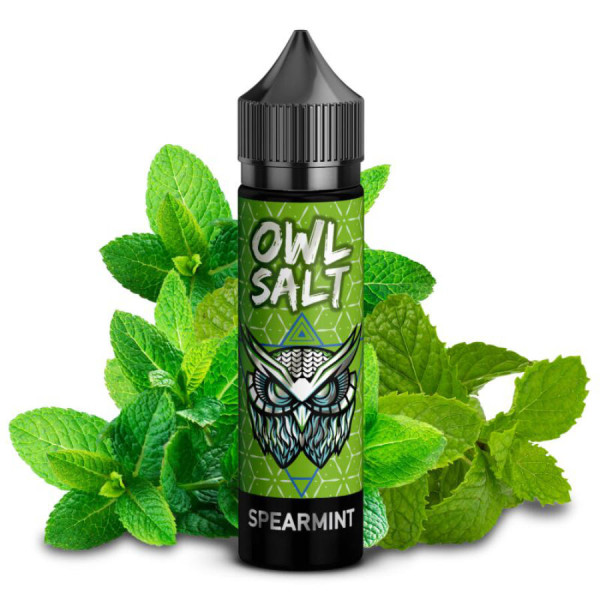OWL Salt Spearmint Aroma 10ml