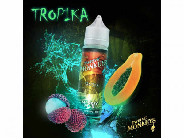 Twelve-Monkeys-Tropika