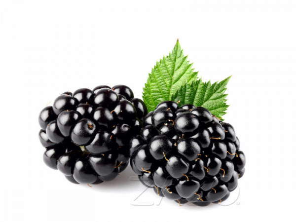 ZAZO-Blackberry-E-Liquid-10ml