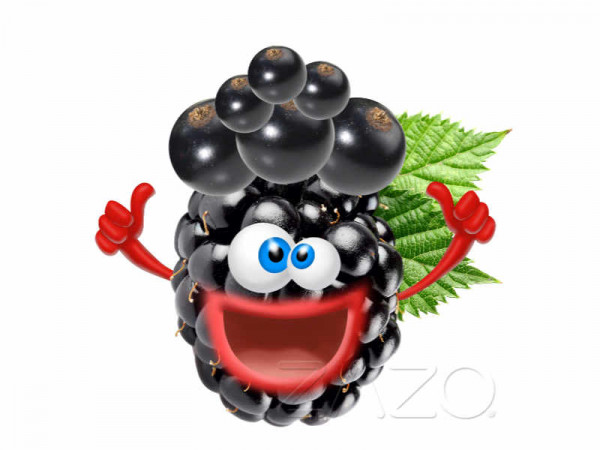 ZAZO-Crazy-Berries-E-Liquid-10ml